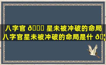 八字官 🍁 星未被冲破的命局（八字官星未被冲破的命局是什 🦋 么）